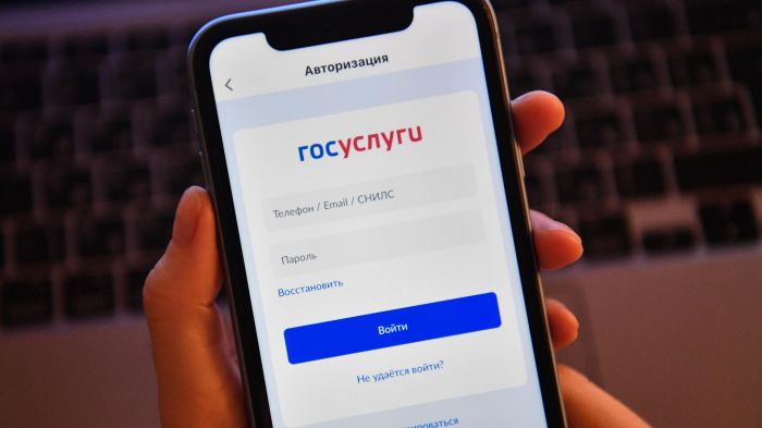 Аккаунт на портале госуслуг теперь можно удалить только в МФЦ