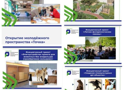 Пять проектов Сургута победили в региональном конкурсе инициативных проектов