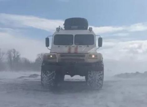 В Югре два дня искали пропавшего в лесу мужчину
