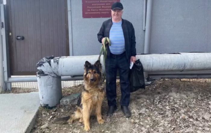 В Сургуте проводили на пенсию четырех полицейских собак