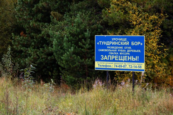 Тундринский бор в Сургутском районе получил статус памятника природы