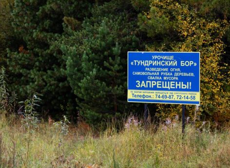 Тундринский бор в Сургутском районе получил статус памятника природы
