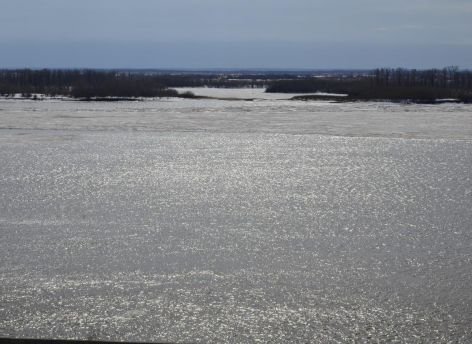 ​На 8 см вырос уровень воды в Оби за сутки