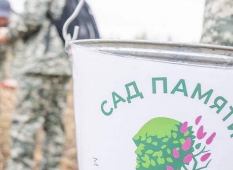 ​В Югре появятся кедровые сады в память о ветеранах ВОВ