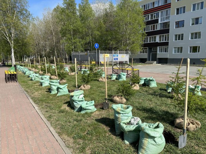 ​«Сад памяти» появился в Сургуте