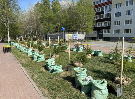 ​«Сад памяти» появился в Сургуте