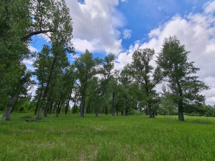 ​Власти Нижневартовска объяснили запах гари и дымку в городе