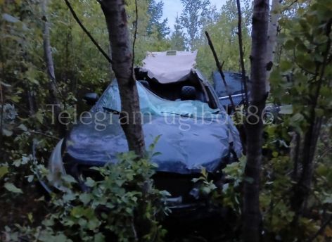Югорчанин ехал на полной скорости и сбил лося на трассе
