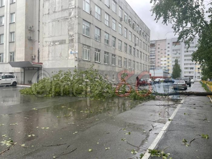 Разбушевавшаяся стихия в Сургуте сломала светофоры и повалила деревья