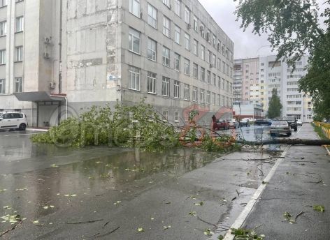 Разбушевавшаяся стихия в Сургуте сломала светофоры и повалила деревья