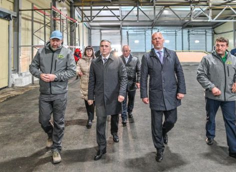 Тюменских сельхозпроизводителей поддержат финансово