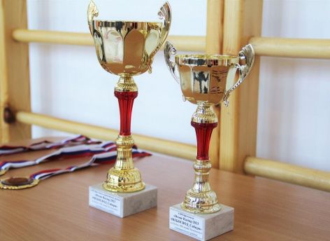 ​Фестиваль дронов прошел в Тюменском районе