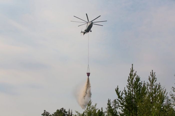 Жара вновь установила повышенный класс пожарной опасности в лесах Сургута