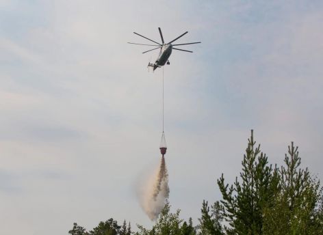 Жара вновь установила повышенный класс пожарной опасности в лесах Сургута