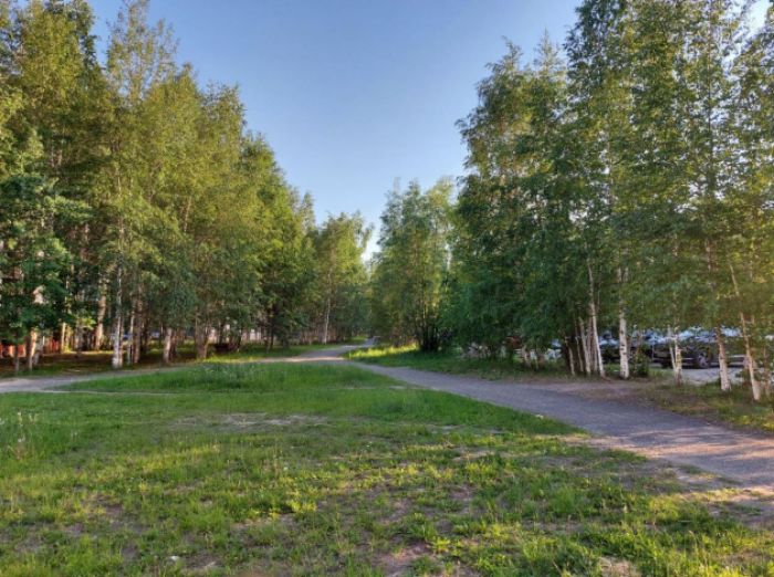 ​Мы все еще можем остановить экологическую катастрофу в центре Сургута