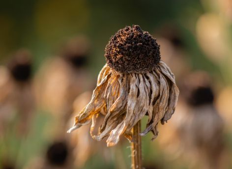 Югра прогреется до +30°C и выше