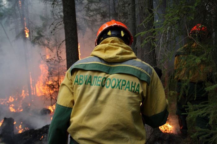 В Югре горят 13 природных пожаров