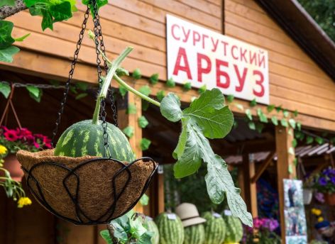 Около 100 сургутян приняли участие в выставке «Дары Севера»