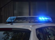 В Югре мужчина жестоко убил собаку и уснул рядом с ее трупом