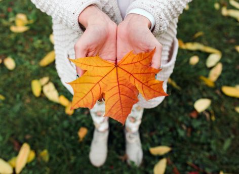 Какие привычки помогут поддержать иммунитет осенью? // ОБЗОР СИА-ПРЕСС
