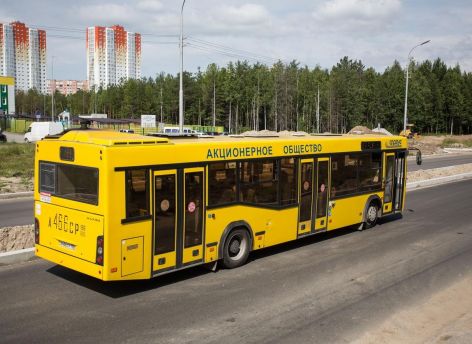 В Сургуте изменилось движение трех автобусов