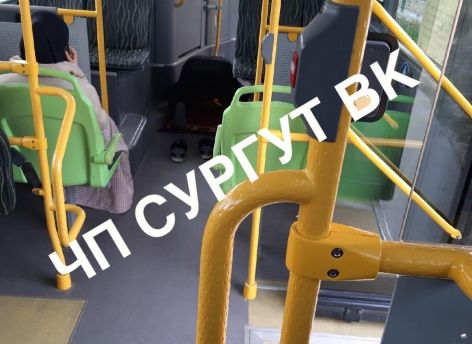 Водитель автобуса в Сургуте остановил поездку, чтобы совершить намаз