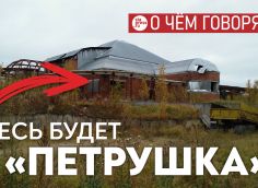 Почему бы не реконструировать и расширить Дом пионеров, и поселить там «Петрушку»?
