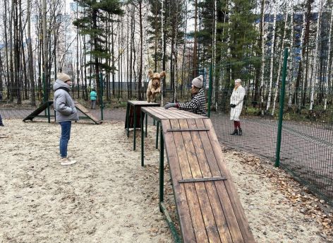 ​В Сургуте появилась новая площадка для выгула собак