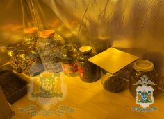 Сургутянин решил прогуляться с ребенком и одновременно разложить закладки с наркотиком