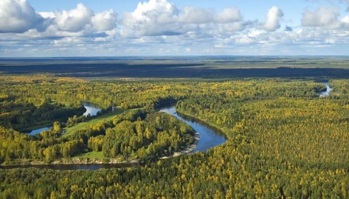 Сегодня отмечается День Сибири