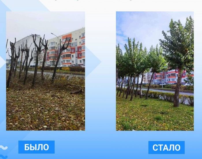 На девяти улицах Сургута кронировали деревья