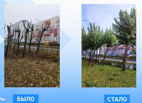 На девяти улицах Сургута кронировали деревья