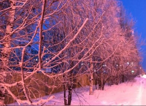 Сургут и Нижневартовск вошли в число городов с высоким качеством жизни