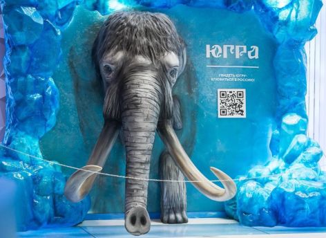 ​В День Югры на выставке «Россия» в Москве выступит «Дискотека Авария»