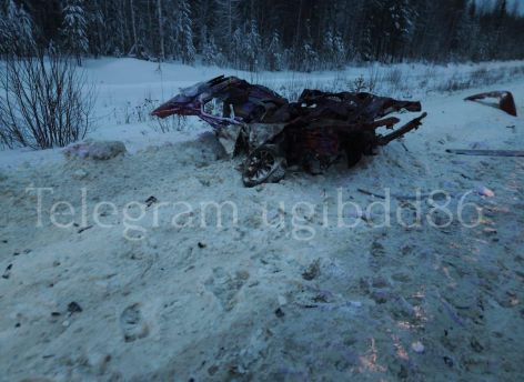 ​В Югорске Honda врезалась в фуру - погиб 40-летний мужчина