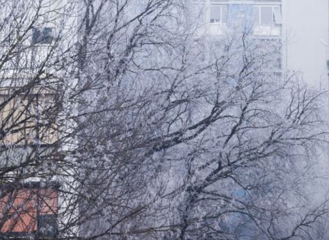 В Сургуте в воскресенье похолодает до -40 градусов
