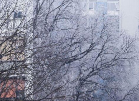 ​Морозы отступят от Сургута во вторник