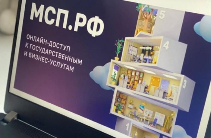 ​В Тюменской области стало больше предприятий и самозанятых