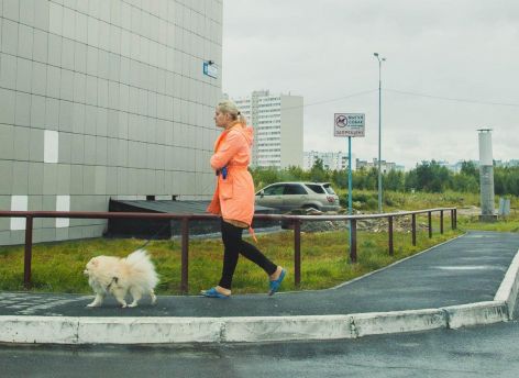 Сургутских собачников предложили выгнать на тротуары  