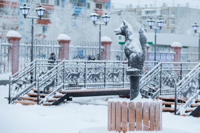 ​Зима окончательно успокоилась? В Сургуте всю неделю будет тепло