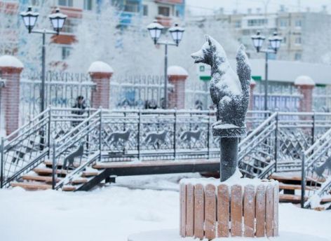 ​Зима окончательно успокоилась? В Сургуте всю неделю будет тепло