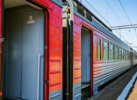 ​РЖД изменит правила перевозки животных после гибели кота Твикса