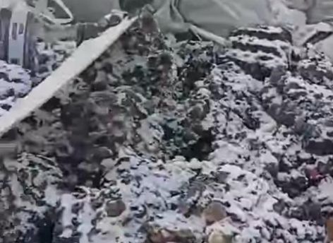 ​«Тут все засыпано яйцами»: в Омске нашли нелегальную свалку с яйцами // ВИДЕО