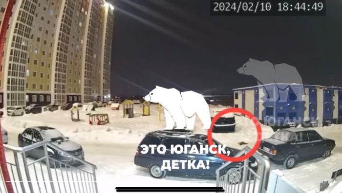 ​Полиция проверит инцидент с выброшенным котом из окна высотки в Нефтеюганске