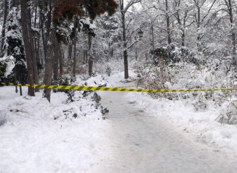 ​Боевую гранату нашли в Сургуте возле парка
