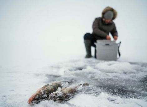Сургутян предупредили об опасности ночной рыбалки