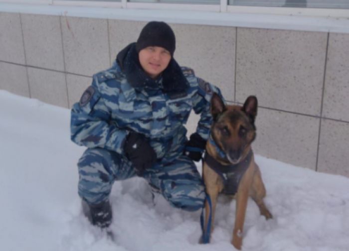 Овчарка Энцелад помогла раскрыть кражу из пекарни в ХМАО