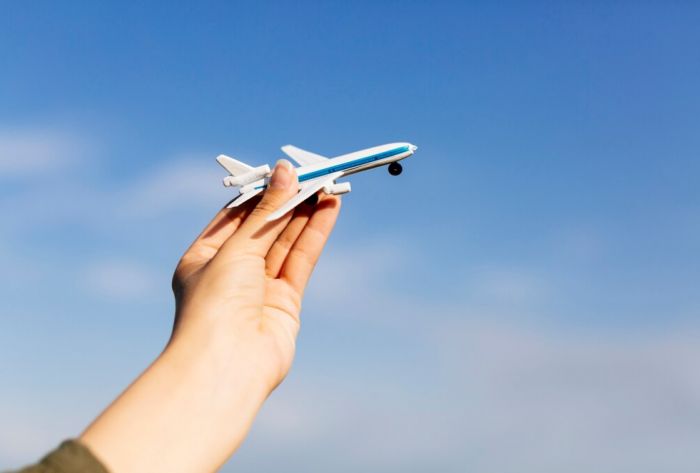 Aviaincident: пилот летевшего в Сургут самолета сообщил о загоревшемся шасси