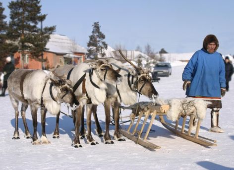 ​В Югре запустили бесплатный цифровой гид для туристов