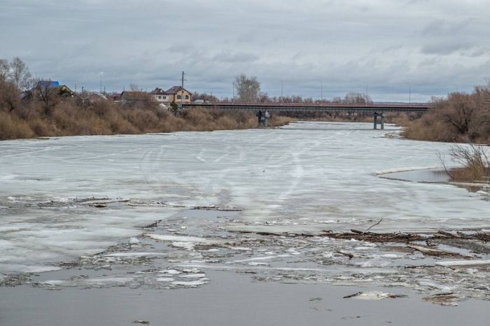 ​В Тюменской области жителей Ишима эвакуируют из-за паводка